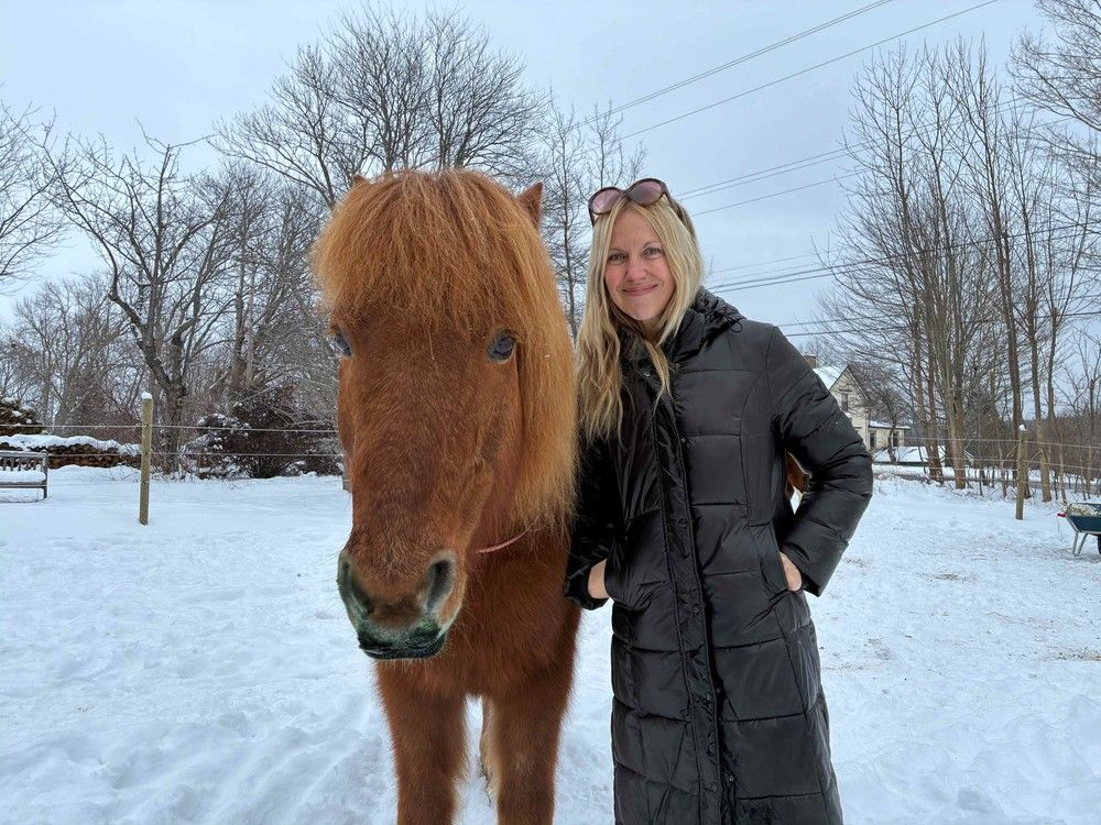 Listening to the animals: Nova Scotia author's book explores what they're trying to tell us