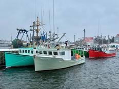 Fishing vessels are sheltered from a blustery winter storm at the main pier in Sambro on Monday, Jan. 26, 2026.