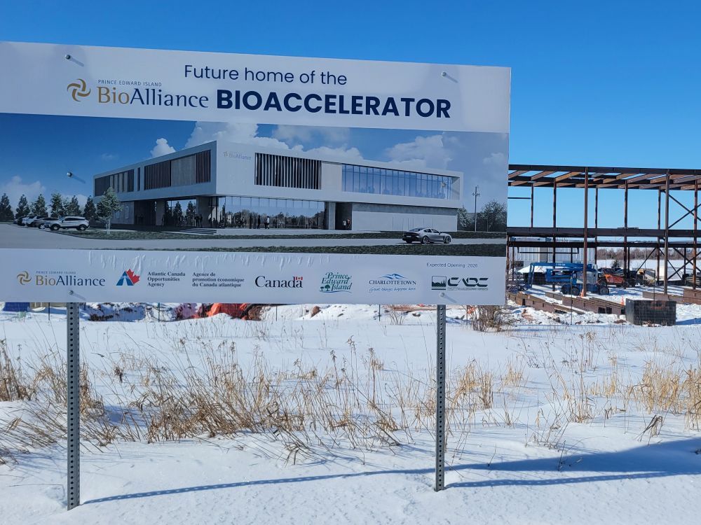 Business owners challenge need for West Royalty improvement area in Charlottetown