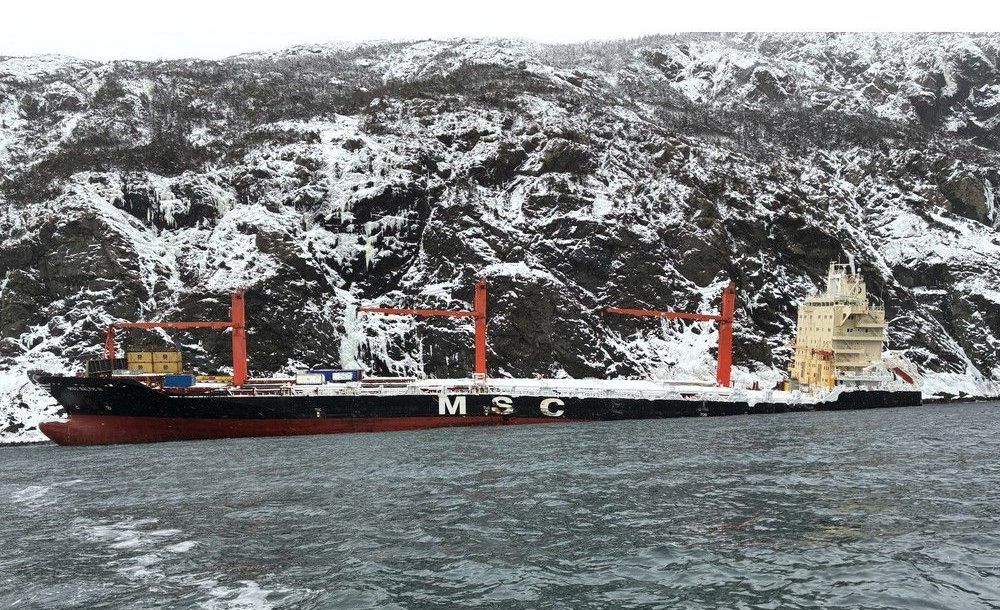 Grounded for a year: The MSC Baltic III will be in Cedar Cove for a while yet