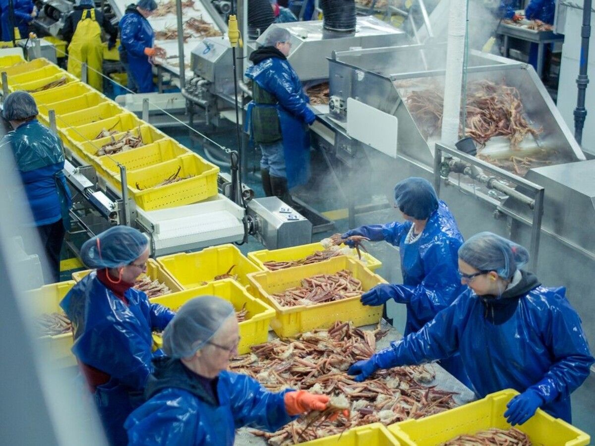 In Newfoundland's fisheries, Greenland cast by some as the invader