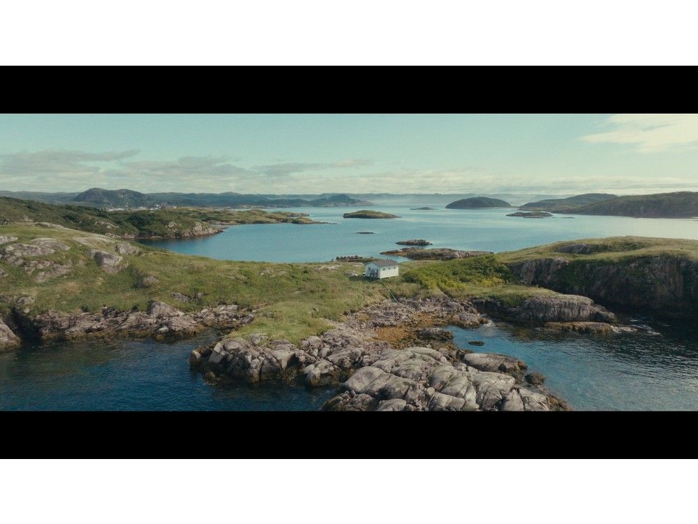 LETTER: Government ignoring wishes of south coast residents regarding marine conservation area