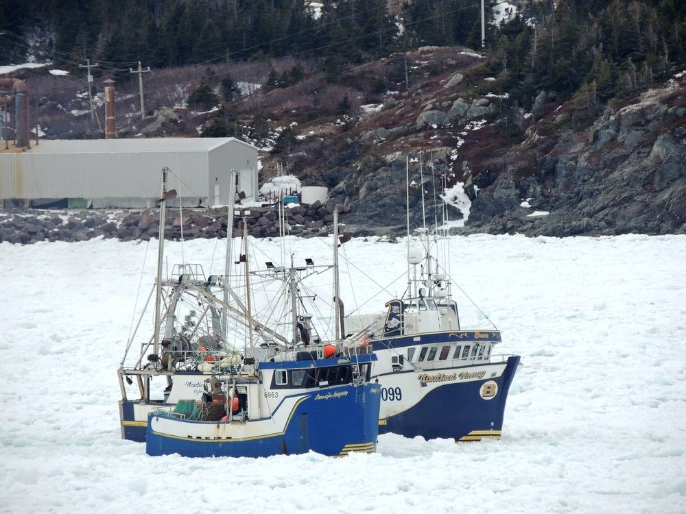 Ready to go again: NL fisheries union threatens to mobilize over latest crab pricing setback