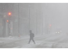 Near whiteout conditions slowed traffic on Barrington Street in Halifax on Monday. As a result of a winter storm, delivery of The Chronicle Herald will be delayed on Tuesday. Some newspapers may arrive with Wednesday's edition.