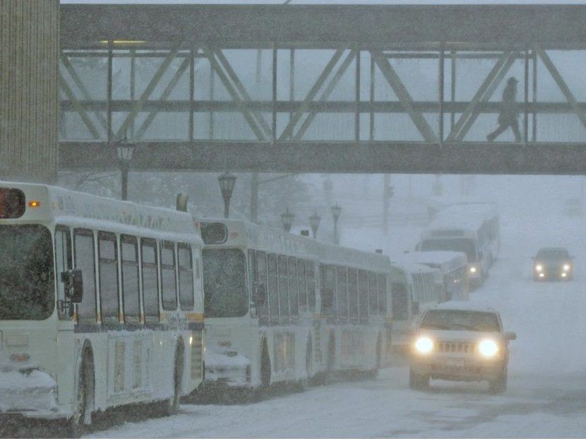 Feet down, backpacks off: Halifax Transit riders sound off about pet peeves on the bus