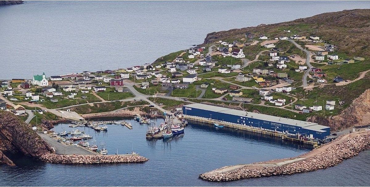 Not going to waste: NL company plans to turn fish waste into consumable products