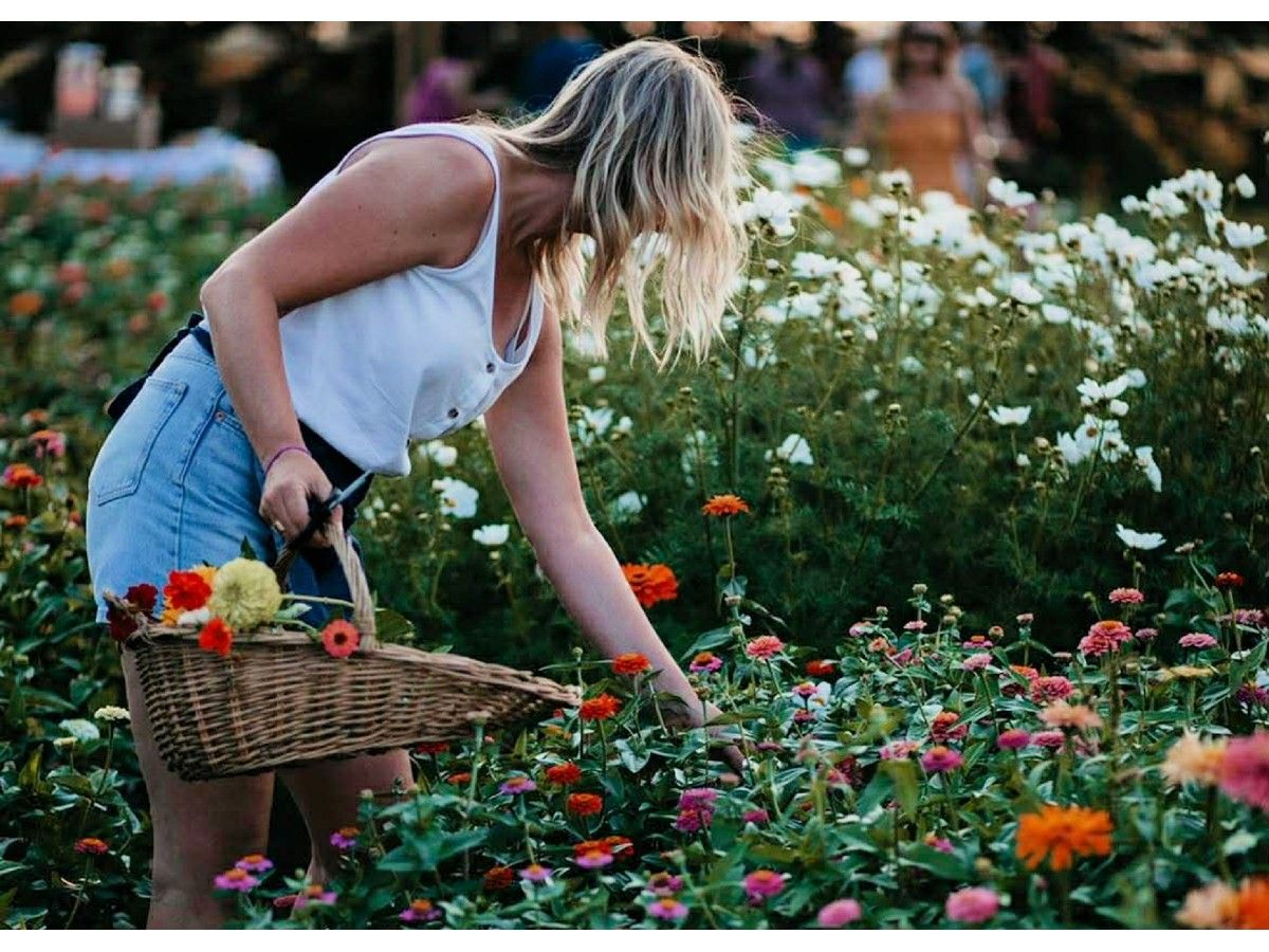 Spring garden prep: Expert gardeners offer their top tips