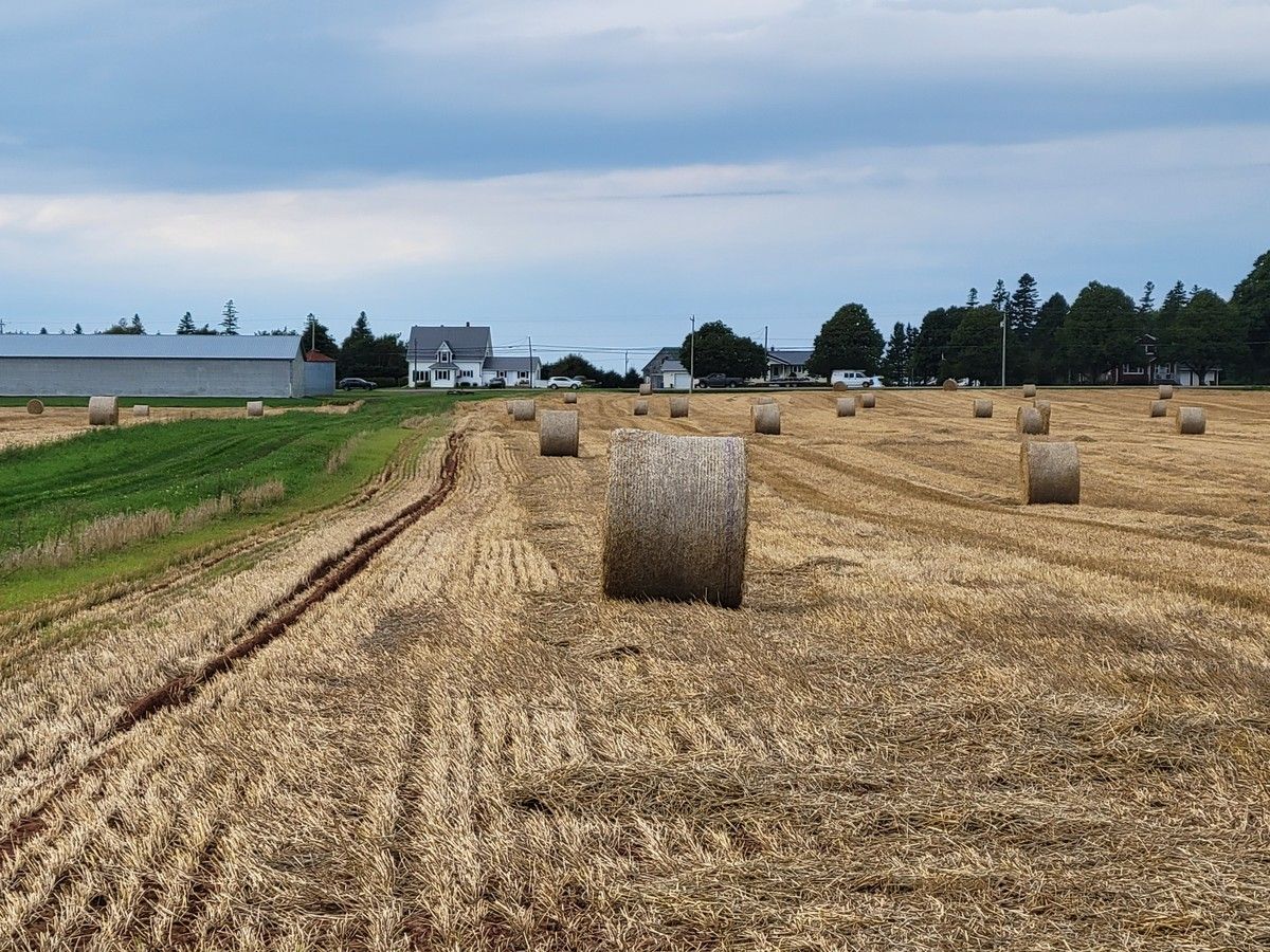 LETTER: P.E.I. farmers quietly adapting to today's pressures