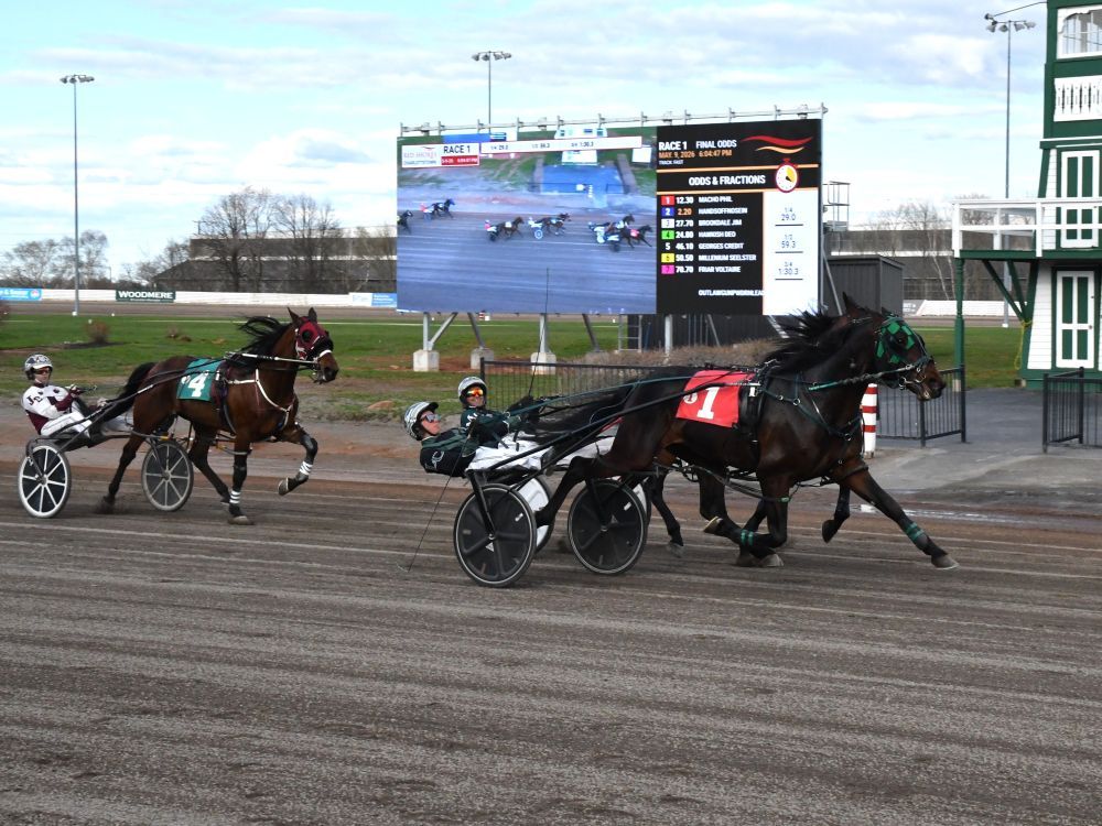 Macho Phil delivers Landon Campbell’s first lifetime win | PNI Atlantic ...