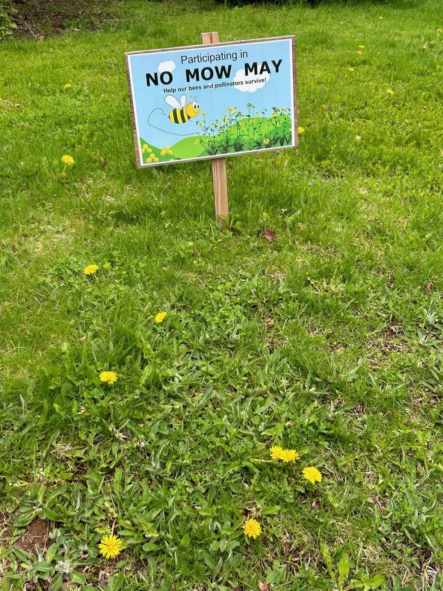 No mow may