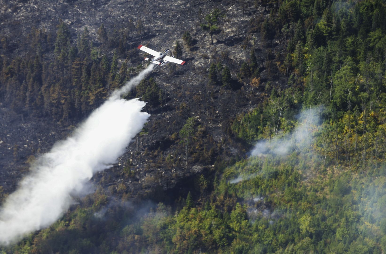 Nova Scotia remains 'susceptible to potential wildfire,' hot 2026 predicted