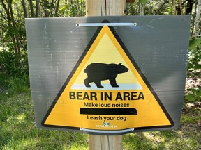 A warning sign about a bear in the area at the entrance to the Lake William Wetlands trail.