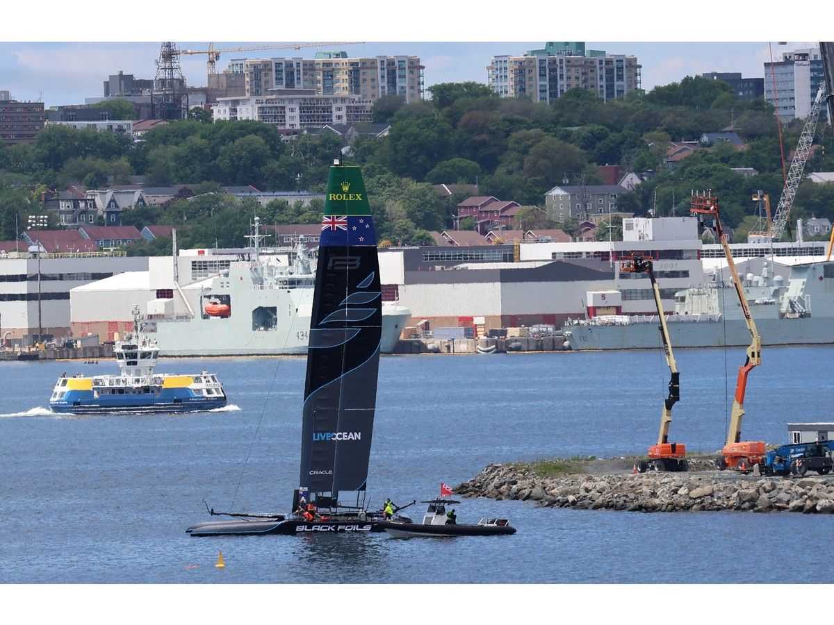 How to navigate SailGP in Halifax this weekend