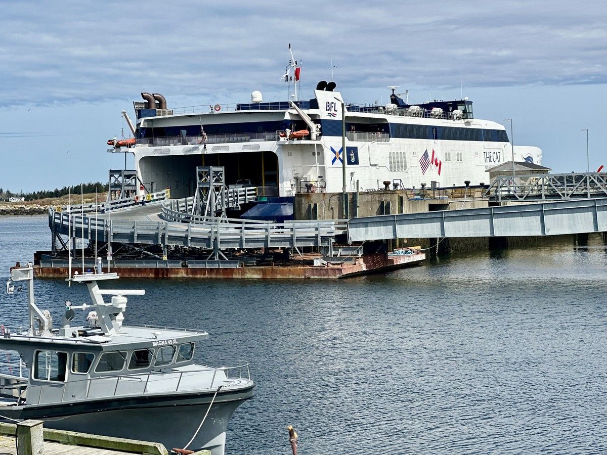 Cat ferry to come Tina Comeau