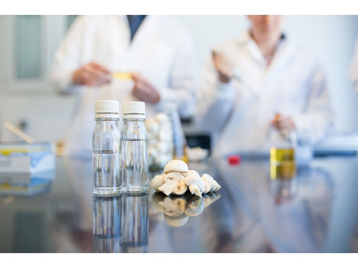 New Brunswick's Chinova Bioworks Inc., a Fredericton-based company that uses upcycled mushroom stumps to create a natural alternative to artificial preservatives, is one of nine businesses from a pool of 75 applicants to take part in an agri-tech accelerator program.