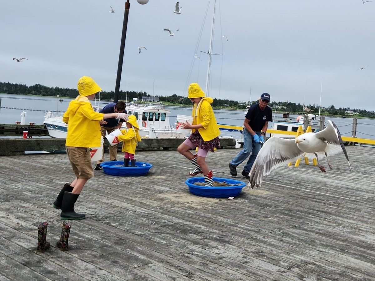 Yarmouth Seafest celebrating 48th year July 10 to 18