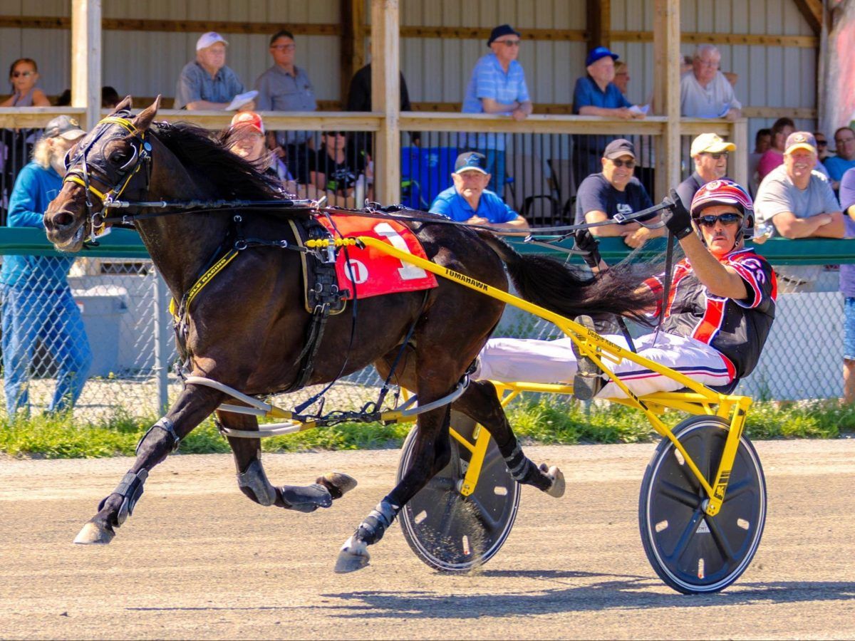 Northside Downs