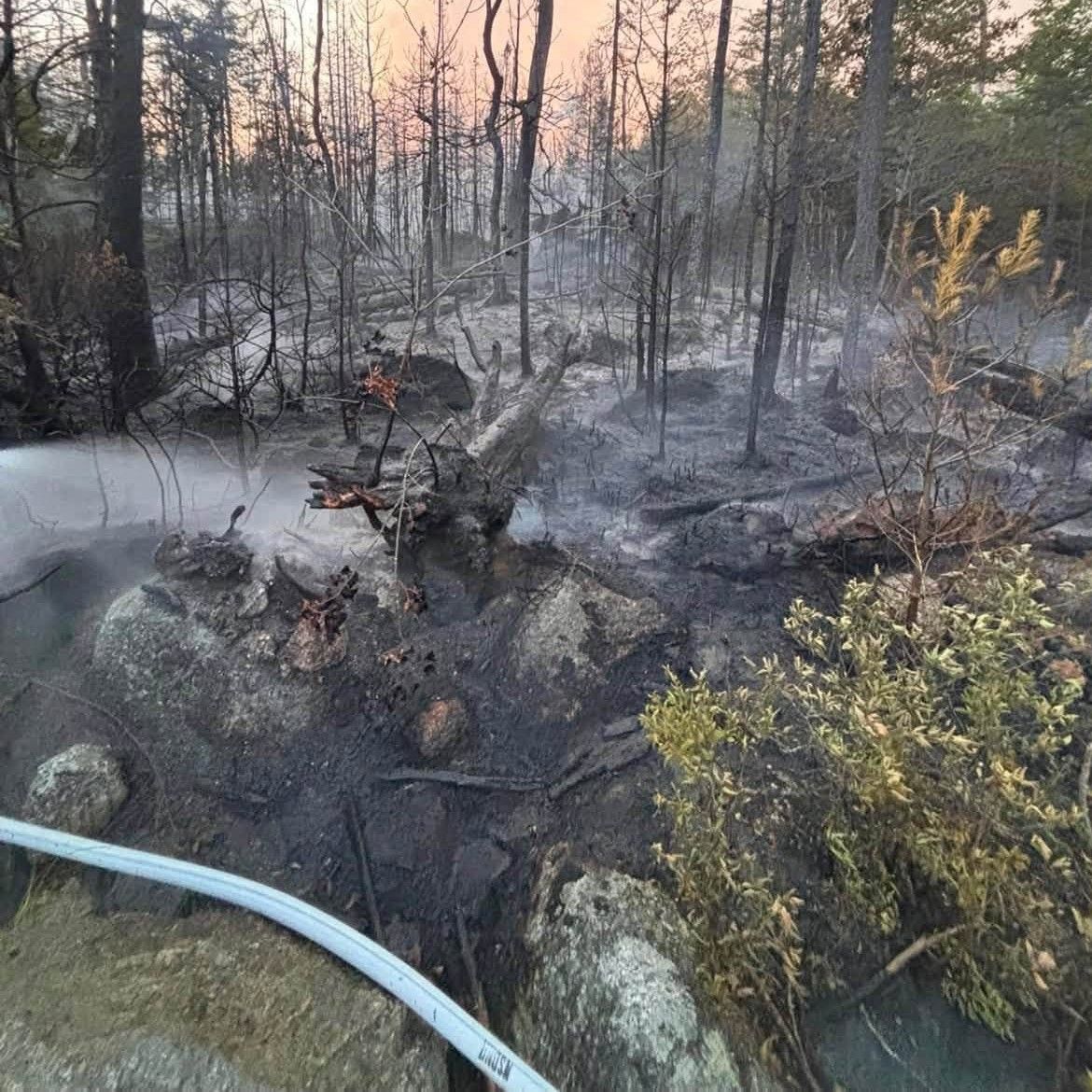 Evacuation order lifted around Mooseland Road wildlife