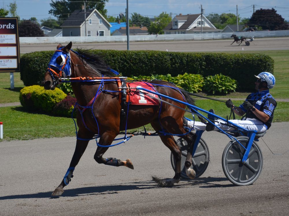 Summerside owner has waited almost half a century for chance to race in Governor’s Plate