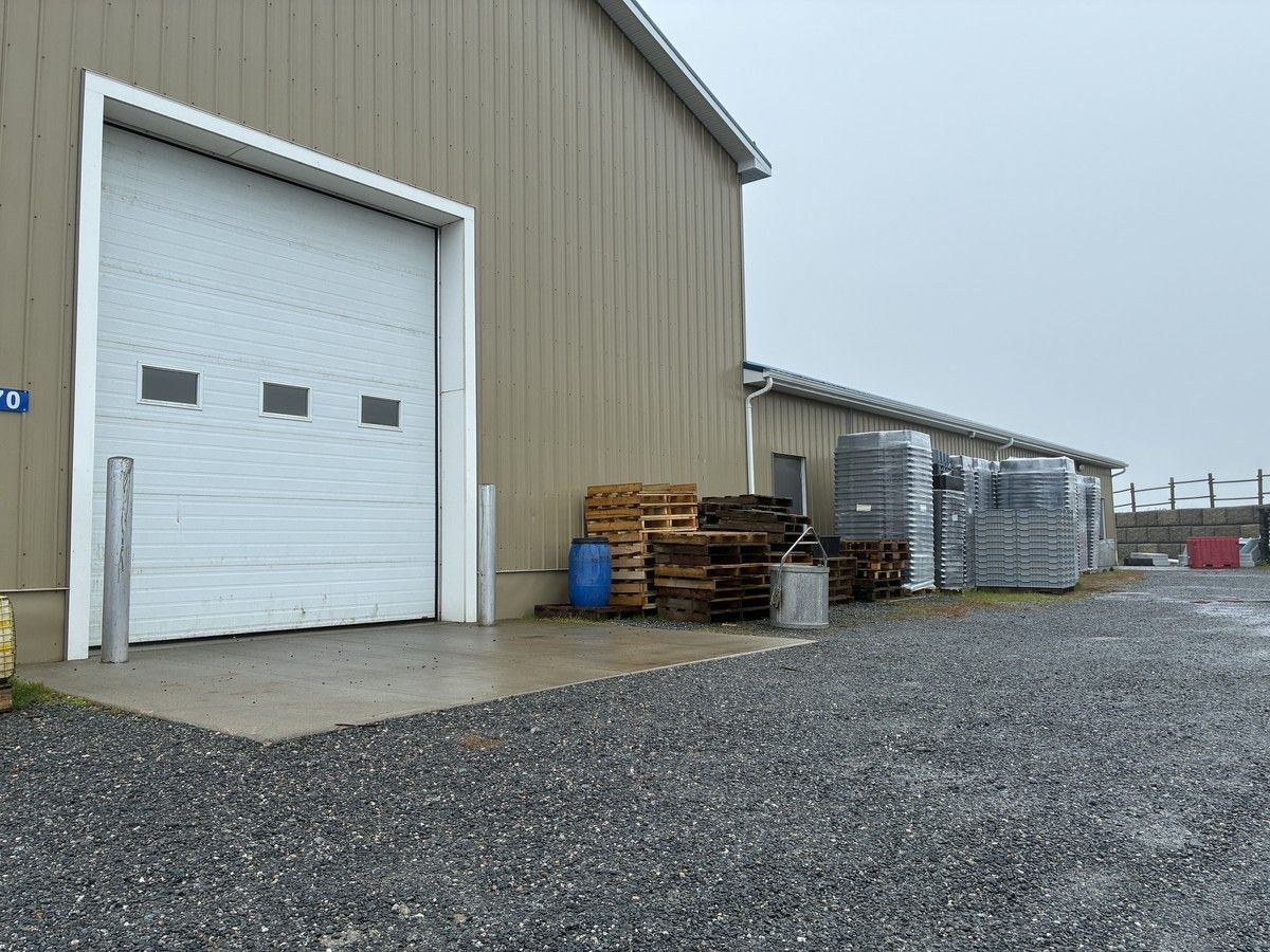 Six southwestern Nova Scotia seafood businesses receive provincial funding