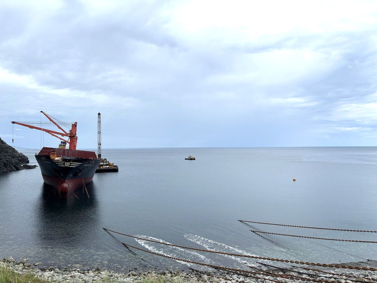 Removal company preparing to pull MSC Baltic III onshore