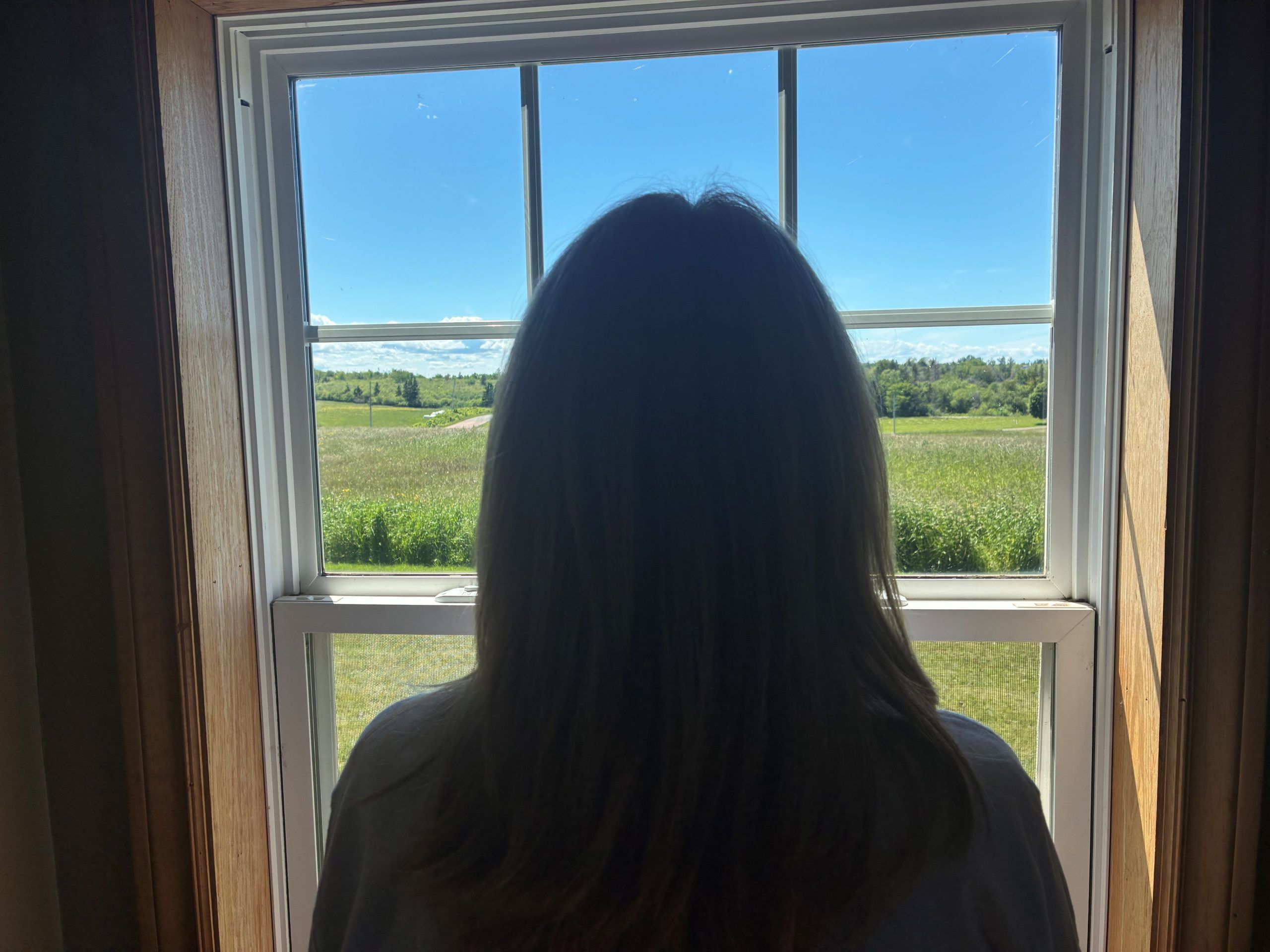 A Pictou County mother's quest to get care for her son's mental illness and drug use