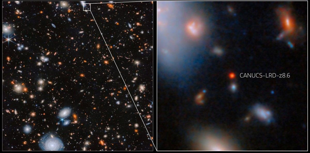 This image shows the location of galaxy CANUCS-LRD-z8.6 in galaxy cluster MACS J1149.5+2223, as seen by the NASA/ESA/CSA James Webb Space Telescope's Near-Infrared Camera (NIRCam). CANUCS-LRD-z8.6 is part of a class of small, very distant and strikingly red galaxies called Little Red Dots (LRDs), which have been spotted in increasing numbers by Webb's surveys of the early Universe. It is located in the constellation Leo (the Lion), and is seen by Webb just 570 million years after the Big Bang.