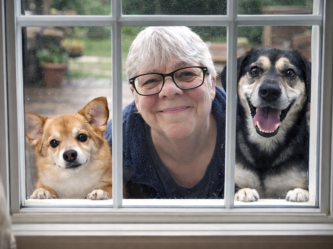 How ElderDog's new Corner Brook Pawd is helping seniors and older dogs