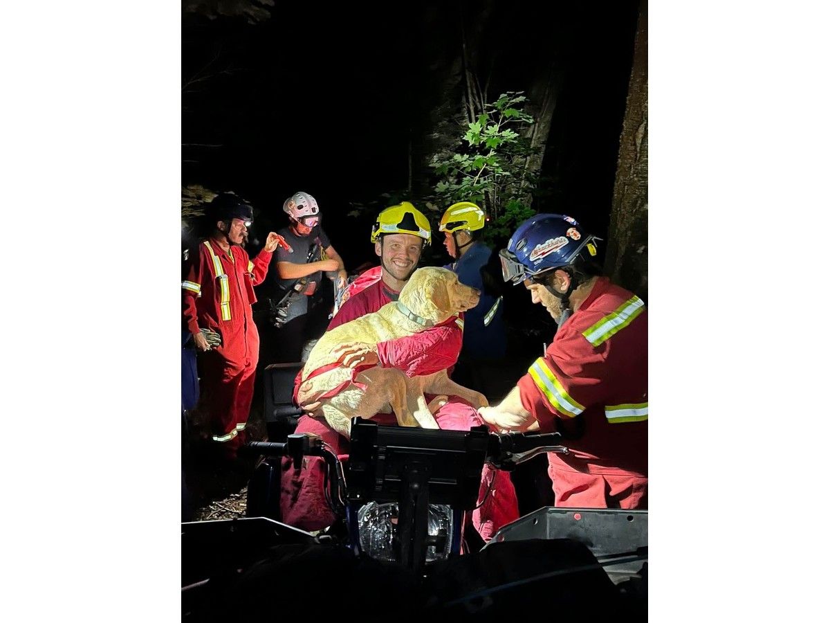 Dog rescue