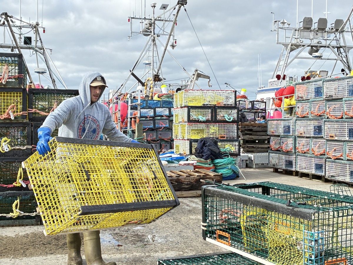 A fisherman carries a lobster trap at the Falls Point wharf in Woods Harbour, N.S., while gearing up for the opening of the lobster fishery season in November.