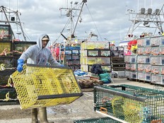 A fisherman carries a lobster trap at the Falls Point wharf in Woods Harbour, N.S., while gearing up for the opening of the lobster fishery season in November.
