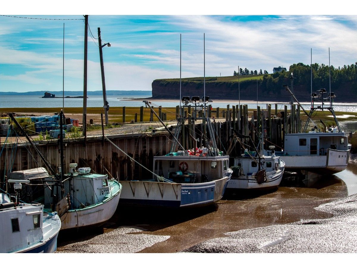Low tide in the Minas Basin at Parrsboro, N.S. Twice each day, about 14 billion tonnes of water moving at speeds of more than five metres per second is funnelled through the Minas Passage, a narrow channel in the eastern part of the Bay of Fundy.