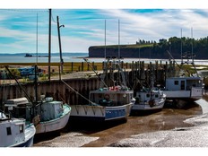 Low tide in the Minas Basin at Parrsboro, N.S. Twice each day, about 14 billion tonnes of water moving at speeds of more than five metres per second is funnelled through the Minas Passage, a narrow channel in the eastern part of the Bay of Fundy.