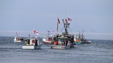 Commercial fishermen allege a large-scale fishery is being pursued outside the legal season by First Nations on St. Marys Bay for the sixth straight year. The Unified Fisheries Conservation Alliance confirmed it will ask the Nova Scotia Court of Appeal to overturn Justice Ann Smith's July ruling that commercial fishermen lack standing in the case to clarify what rights First Nations have to fish for a moderate livelihood.