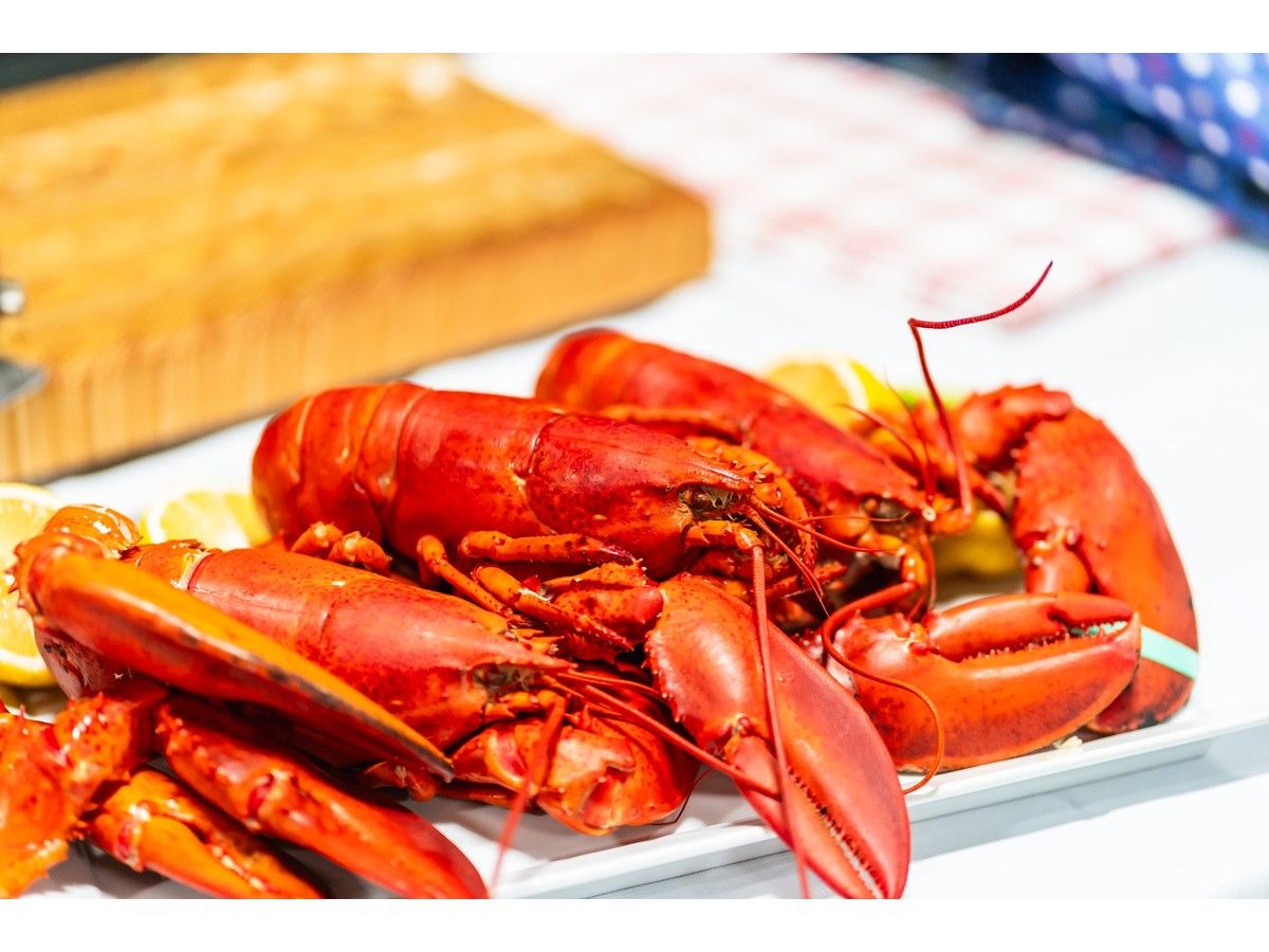Turning waste into lobster stock: Nova Scotia trying to bring seafood processing home