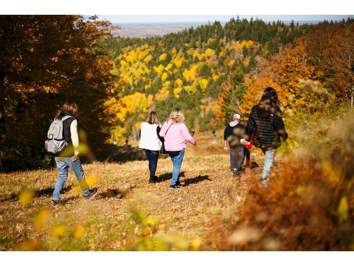 Wentworth Fall Colours