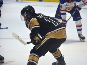 Matt Butler, Charlottetown Islanders