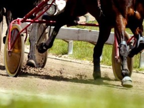 Harness racing.