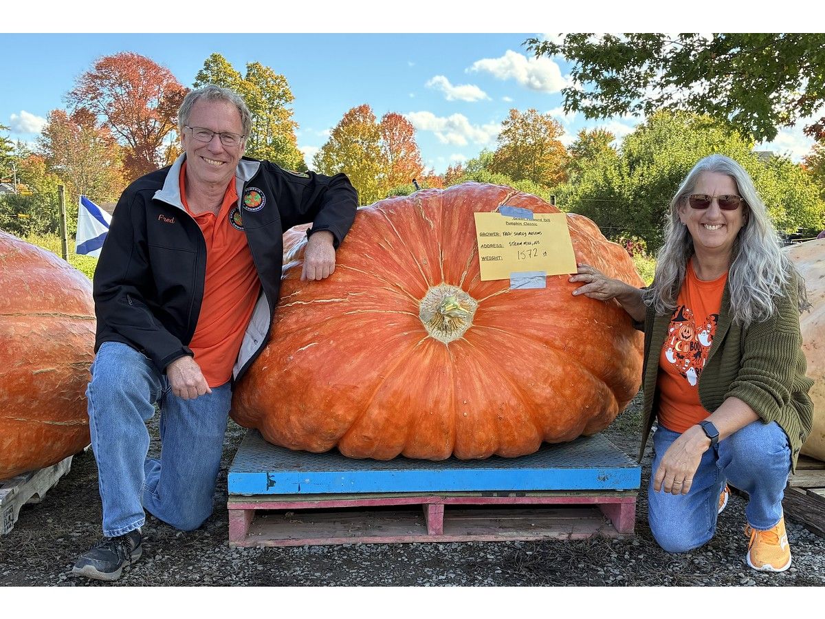 Ansems Family Sweeps Dill Family Farm Pumpkin Weigh-Off With Record Win