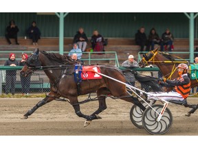 Aragonite and driver Carey Romeo fended off a late challenge from Ranked Contender and Ardon Mofford to take the Saturday afternoon feature race at North Sydney's Northside Downs in 1:57.2. Contributed/Tanya Romeo
