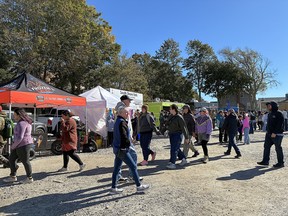 Shelburne pumpkin regatta