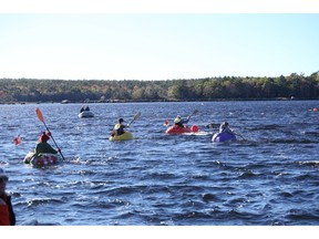 Shelburne pumpkin regatta