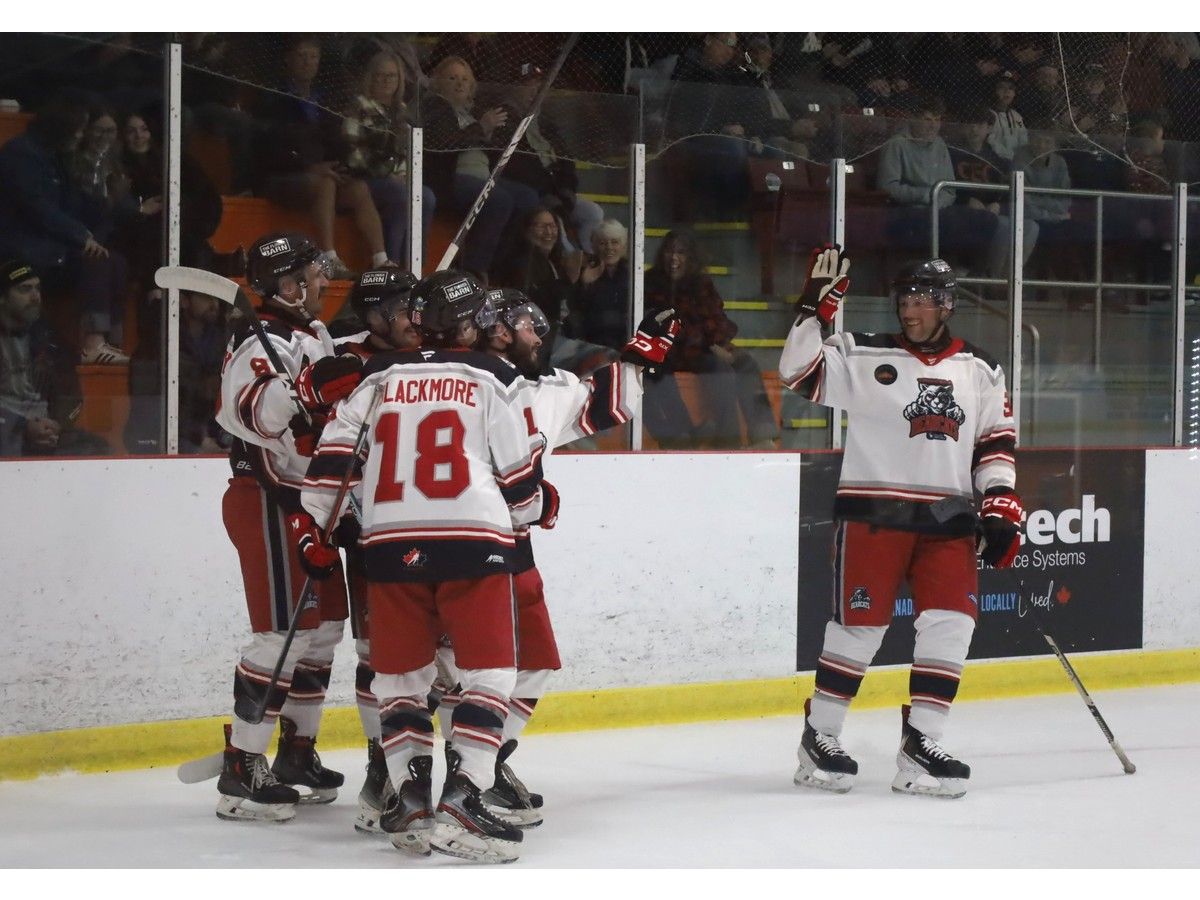 The Truro Mosaik Bearcats celebrate forward Brandon Verge's first period goal, which put them up 4-1.