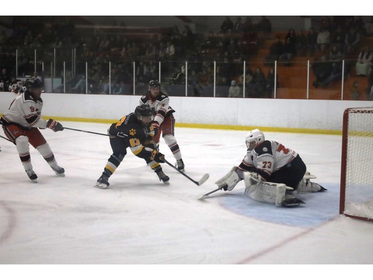 Truro Mosaik Bearcats goalie Matt Welsh turns aside a shot attempt from Antigonish Bulldogs forward Devin MacLaughlin in the third period of the Oct. 10 game at the Colchester Legion Stadium.
