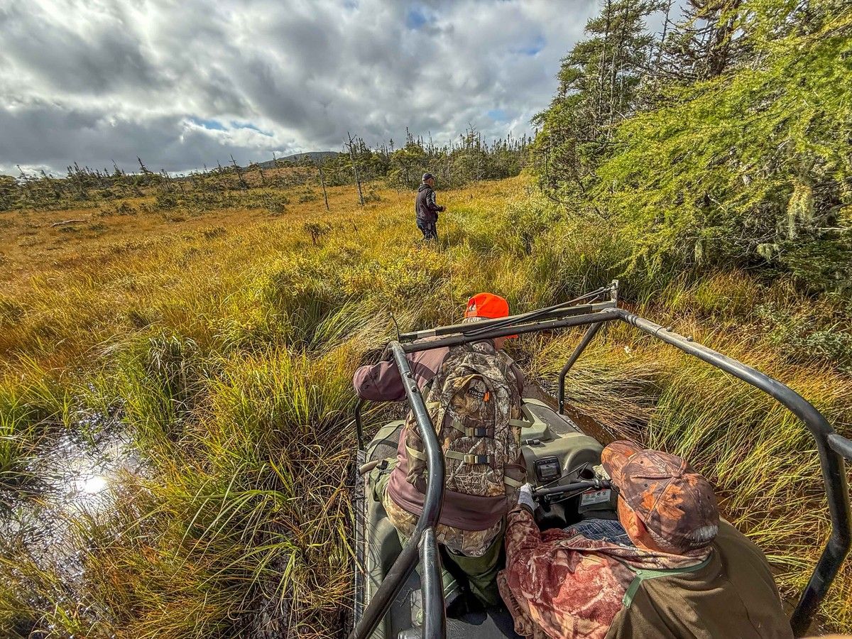 hauling moose