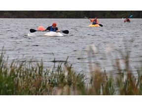 Windsor regatta