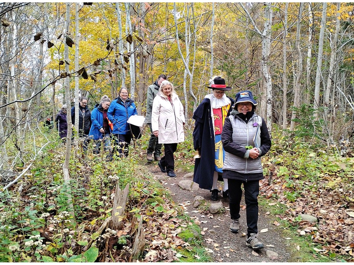 Delaps Cove Wilderness Trail