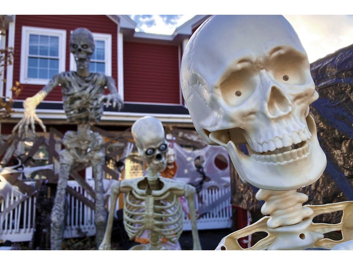 Scary slideshow shows spooky, spectral, skeletal scenes from around St. John's metro area