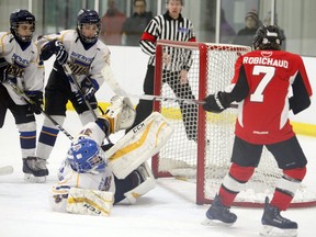 The Chebucto Minor Hockey Association warned the hockey community that scammers have been imitating organizations and attempting to sign them up for tournaments and taking payment.