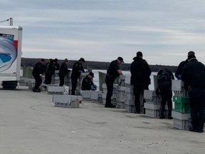 DFO officers release seized lobster from the Bear Point Wharf on Friday.